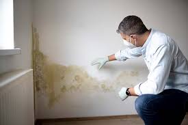 Best Mold Prevention Services in Hollidaysburg, PA